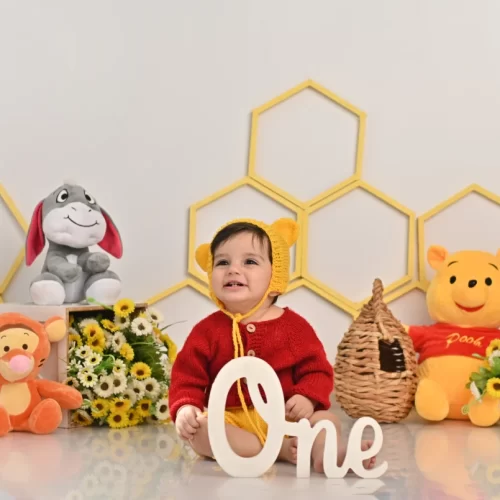 عکس تولد یکسالگی در استودیو گلسا با دکور عروسک خرس و میمون و زنبور و کندو