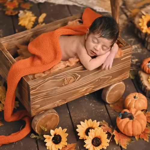 newborn-baby-photos 28 newborn-baby-photos 28